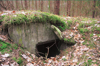 Schematy Obiektow - Twierdza Chełmno - Obiekty z 1930 r.
66 Pułku piechoty