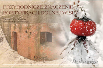 Wykorzystanie Turystyczne - Twierdza Chełmno - Pocztówki